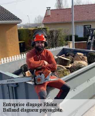 Entreprise élagage 69 Rhône Balland élagueur paysagiste
